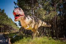 Bilhetes para o Dino Parque Lourinhã + Hotel perto da Praia