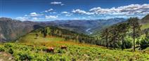 Hotel Castrum Villae no Gerês com pequeno-almoço