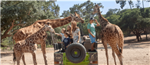 Badoca Safari Park com Hotel 4* com piscina no Alentejo