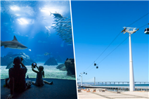 Bilhetes para o Oceanário de Lisboa e para o Teleférico com Estadia no Hotel Ikonik