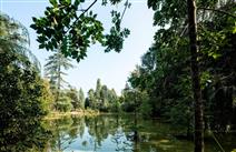 Hotel Pedras Salgadas 4* com piscina na N2 e opção de SPA